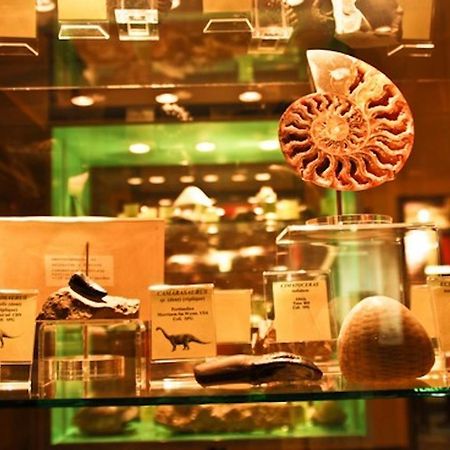 Le Lodges Quievrain Ngoại thất bức ảnh